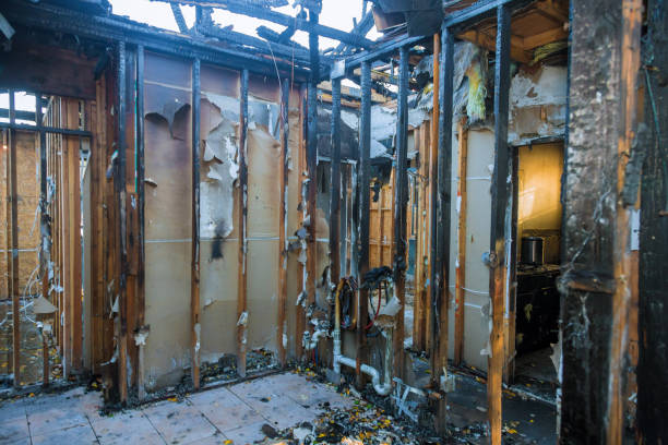 Professional Fire Damage Removal technician working in Cotulla, TX